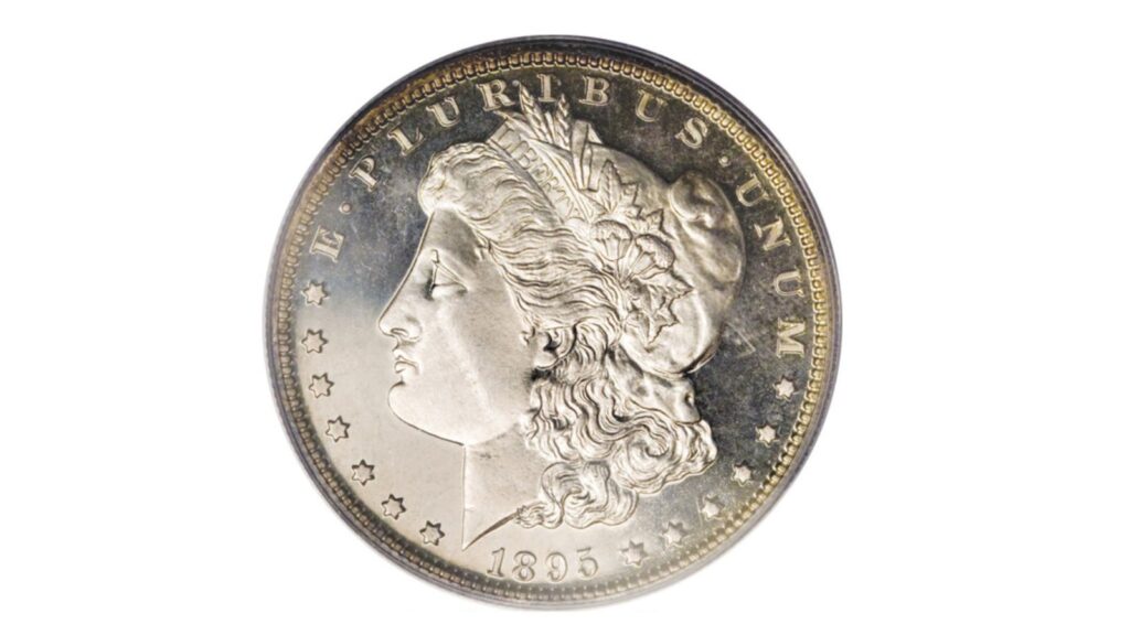 1895 Morgan dollar proof only