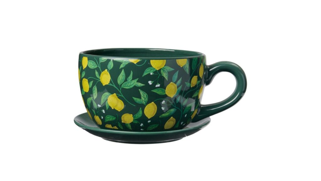 Belavi teacup planter