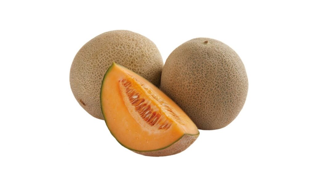 Cantaloupe