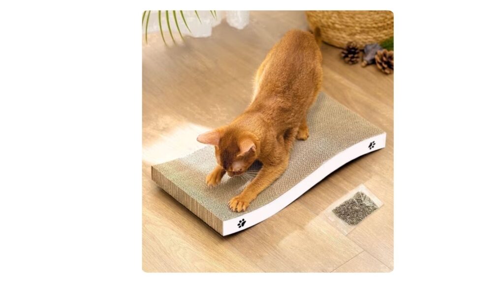 Cat Scratcher