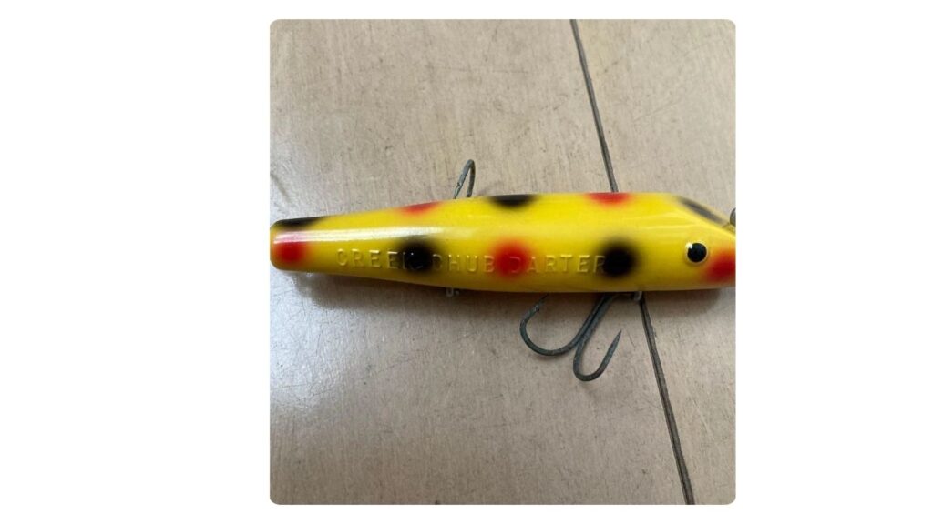 Creek Chub Darter