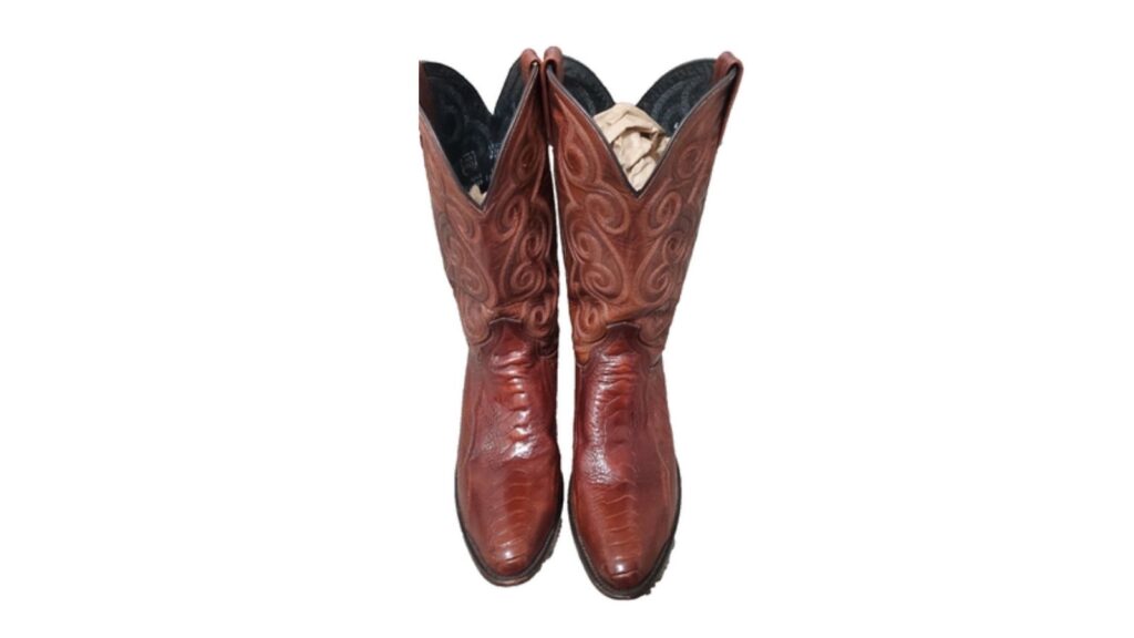 Dan Post full quill ostrich leg boots