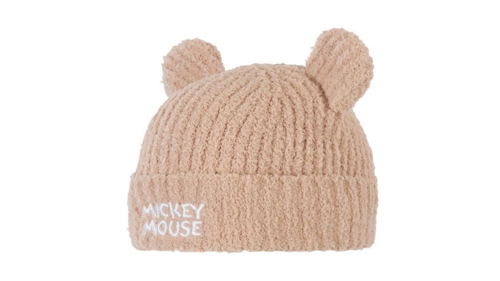 Disney hat