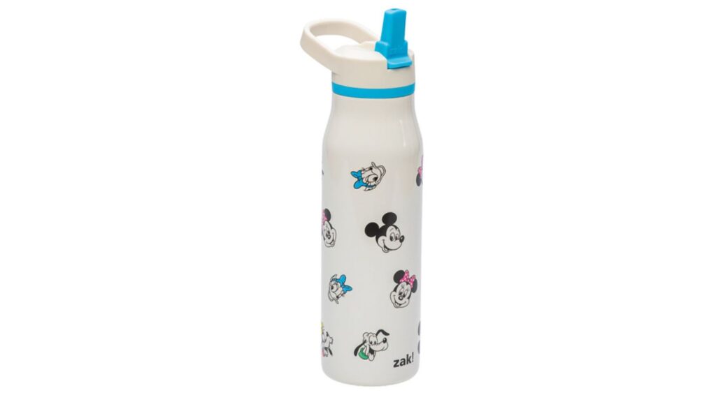Disney stainless steel bottle