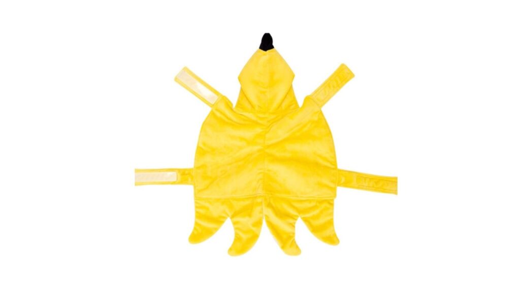 Halloween pet costume