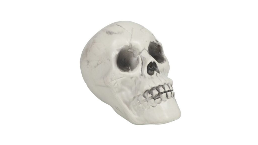 Halloween skull ornament