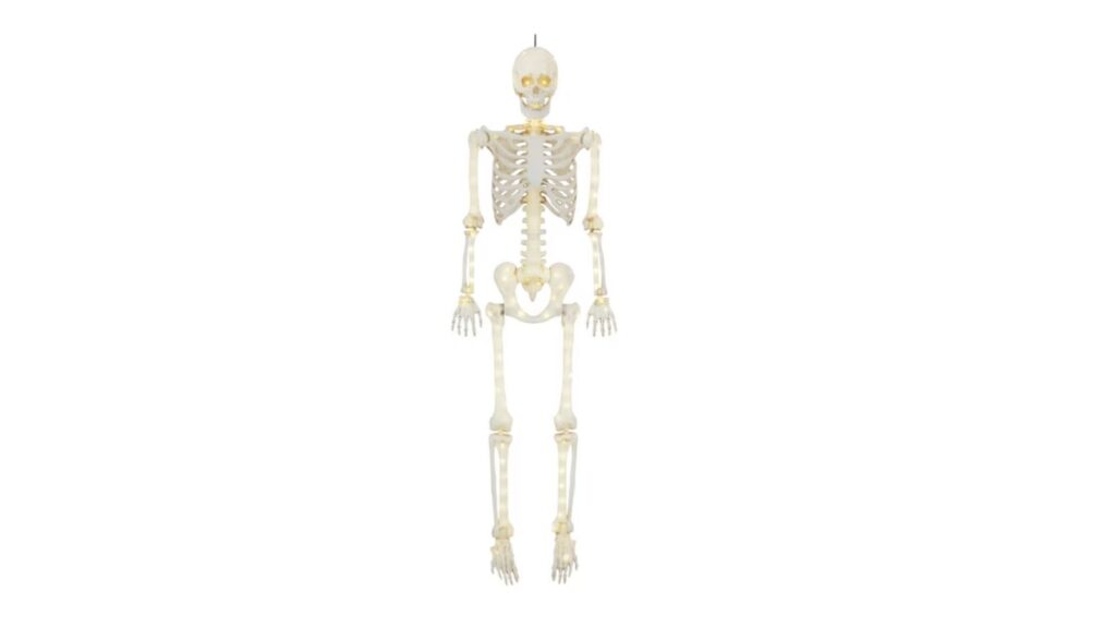 LED skeleton