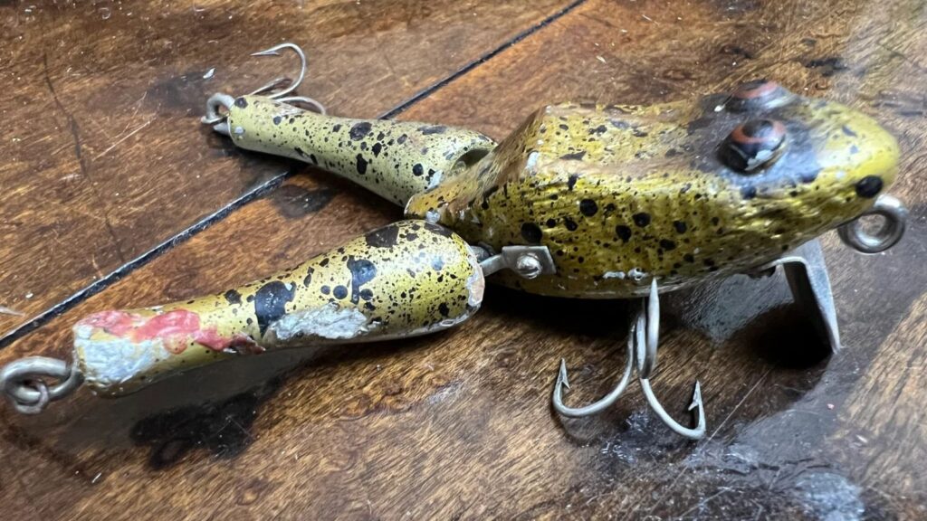 Paw Paw Wotta-Frog