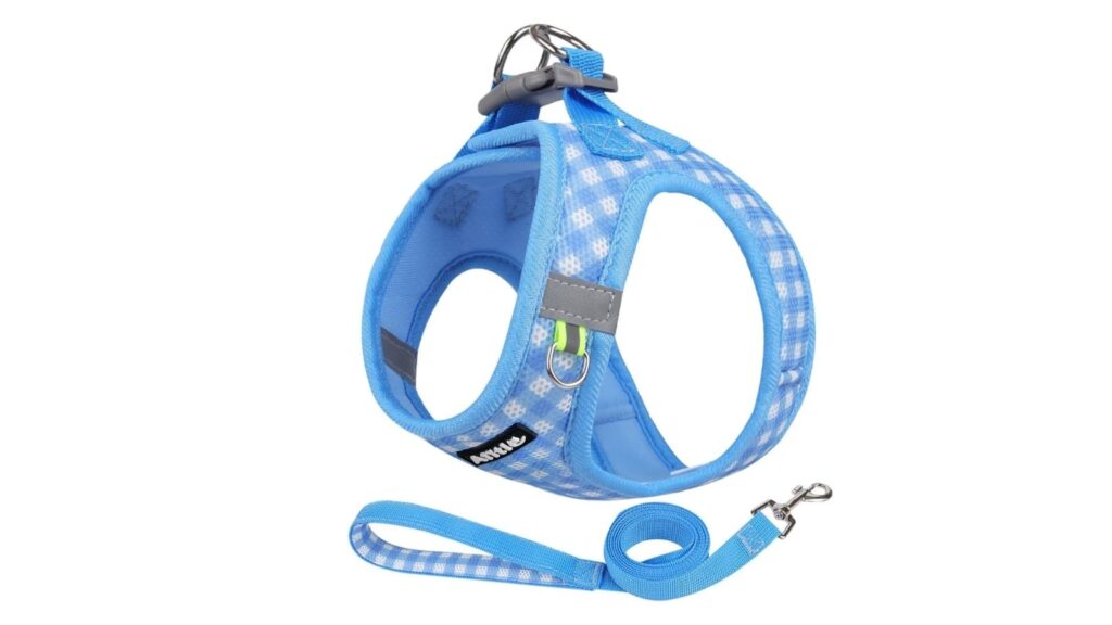 Plaid harness