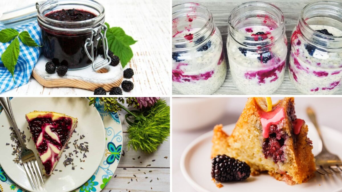 blackberry recipes