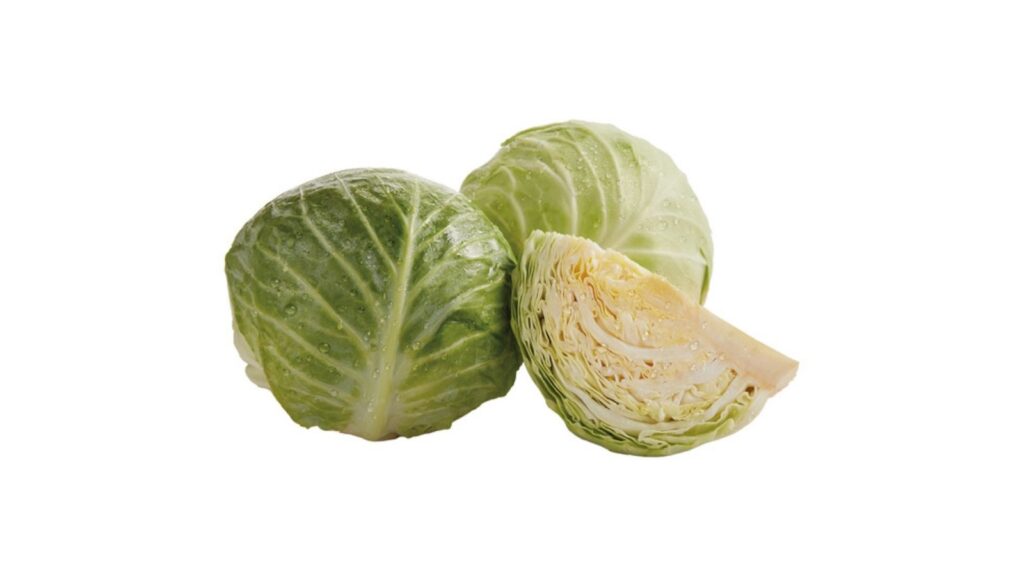 cabbage