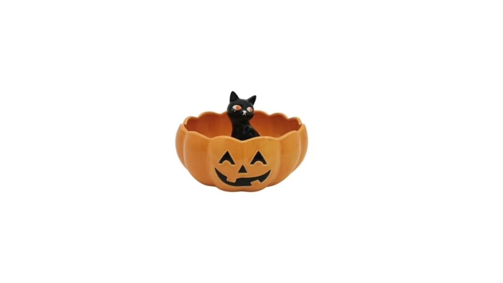 cat in pumpkin bowl