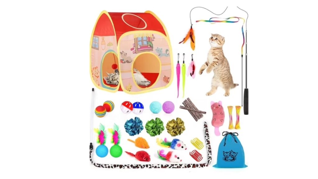 cat toy kit