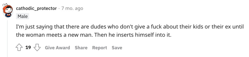 Negative comment on Reddit about dating a single parent.