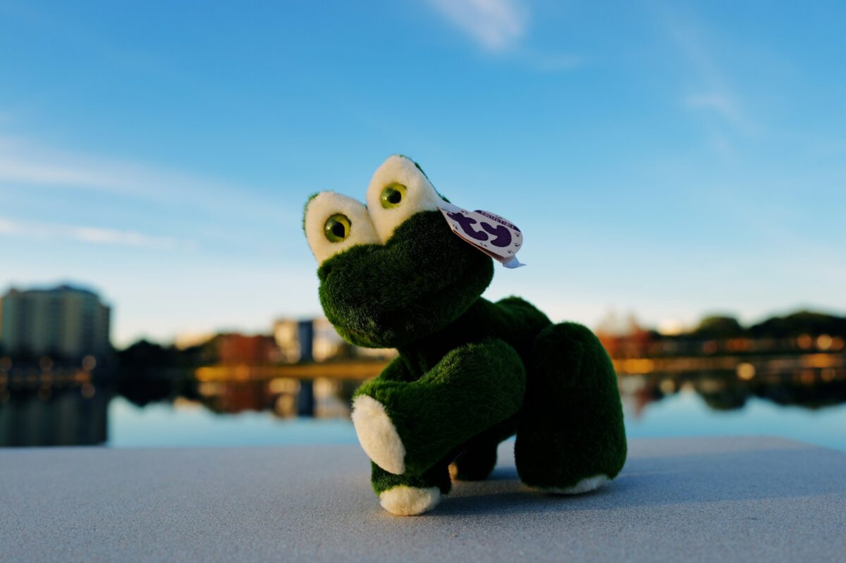 frog Beanie Baby