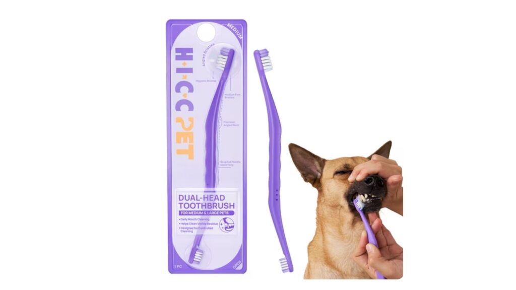 dual head toothbrush