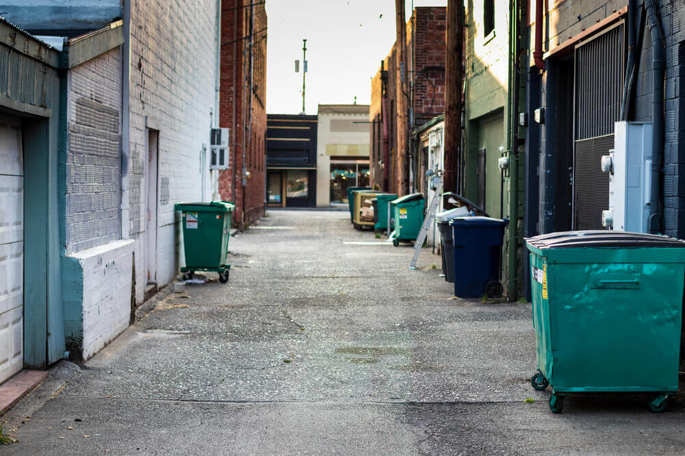 Alley is full of dumpsters for dumpster diving.