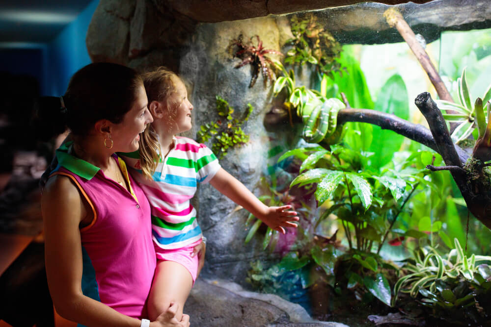 8 EBT discounts for zoos, museums, and more