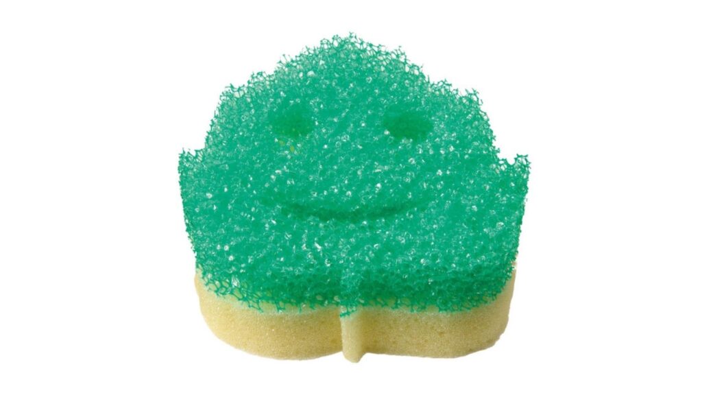 fall sponge