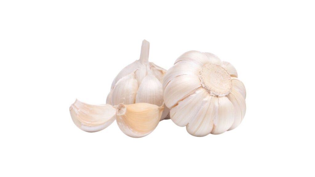 garlic