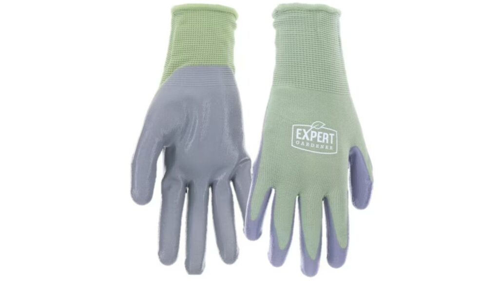 gloves