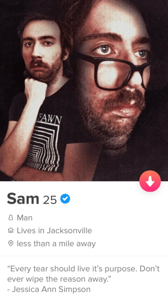 Ironic example of how to write a dating profile bio.