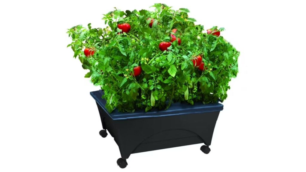 patio garden bed