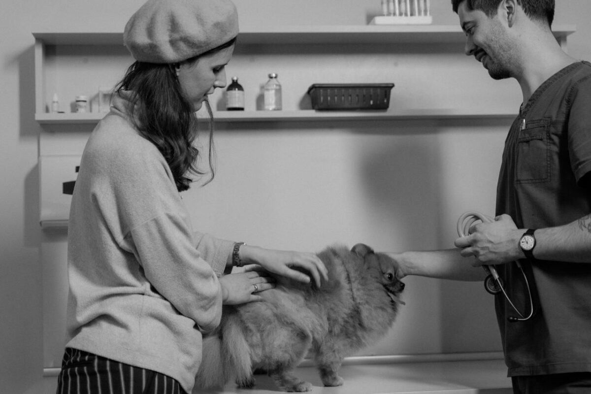 Learn where to look for better pet insurance and what to compare when choosing coverage for your pet.