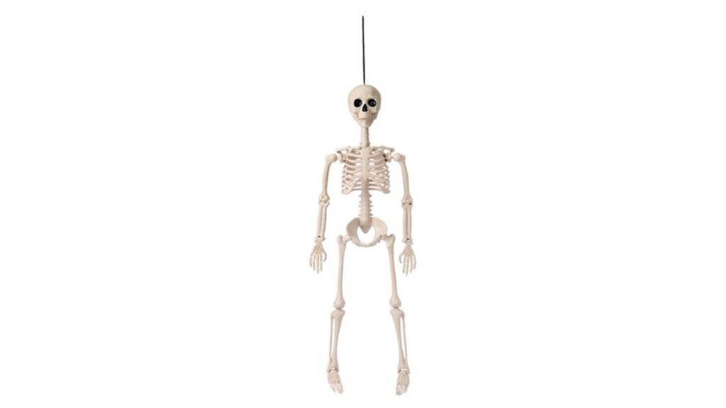 posable skeleton