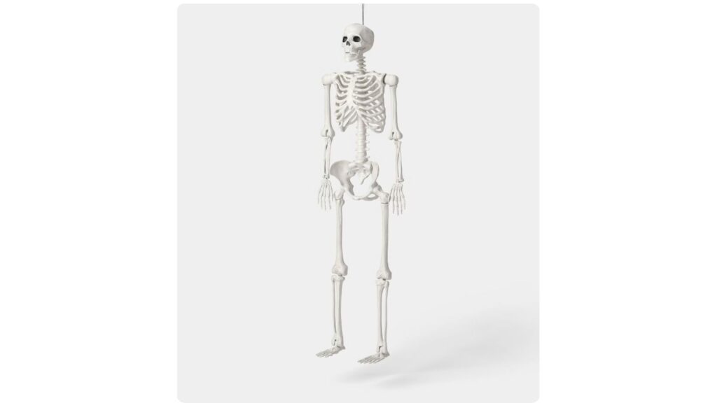 poseable skeleton