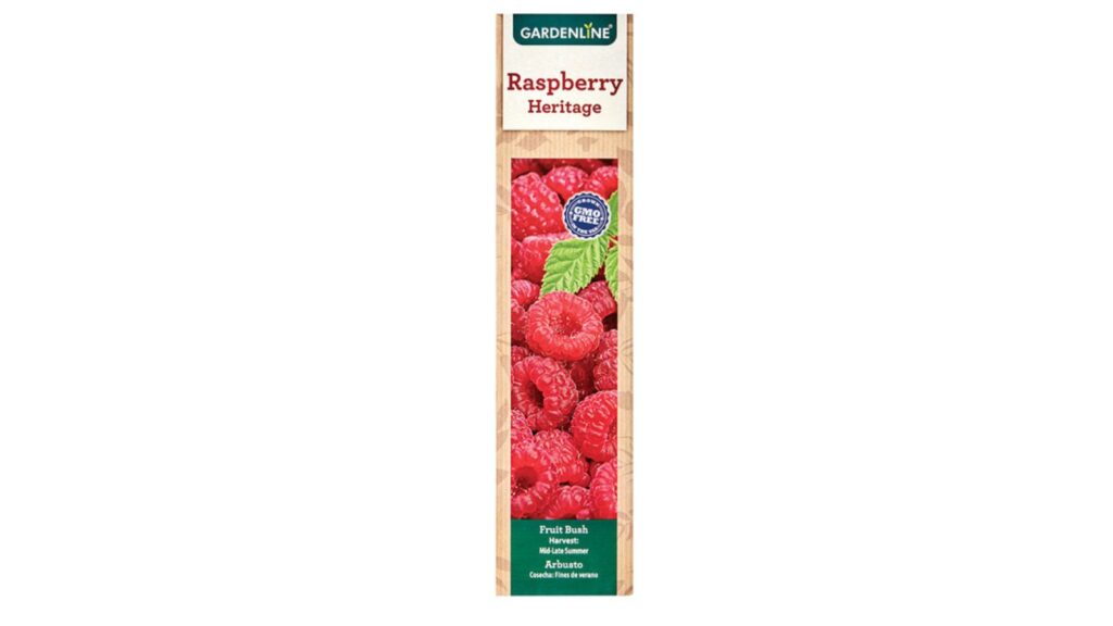 raspberry bush