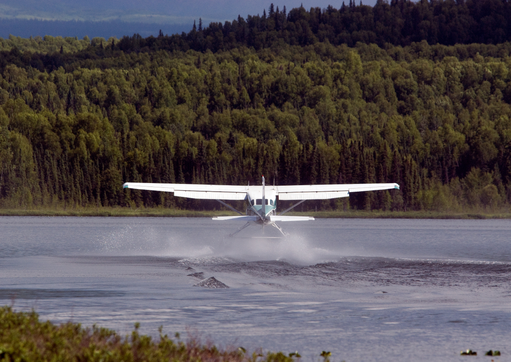 bush pilot