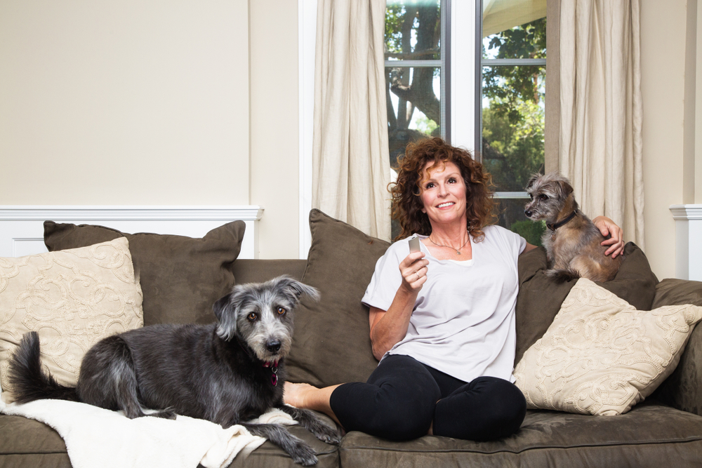 pet and house sitter