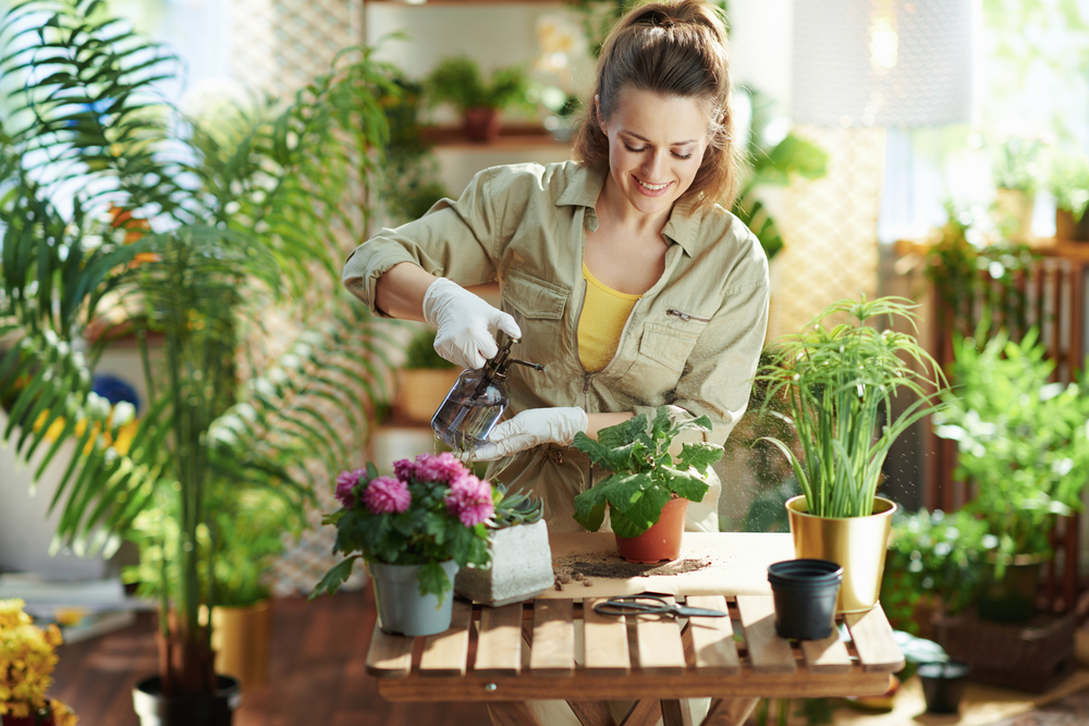 Woman in gardening gloves misting potted plants with a spray bottle inside a home