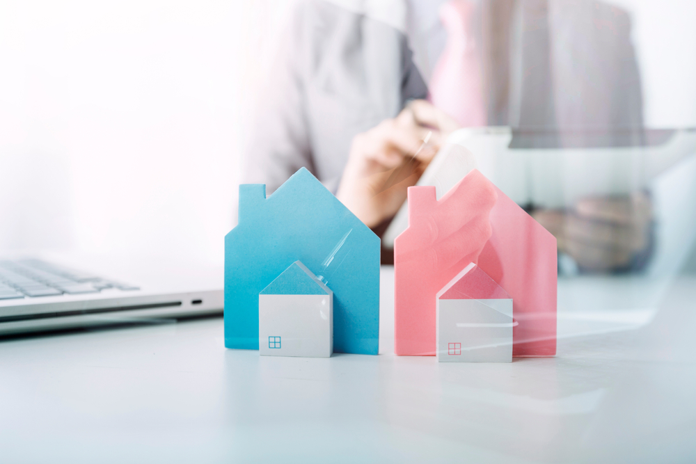 pink and blue model house