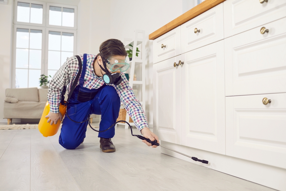 Pest control worker