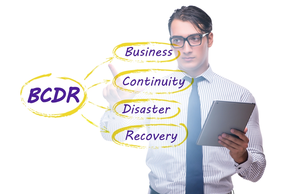 Business continuity and disaster recovery analyst