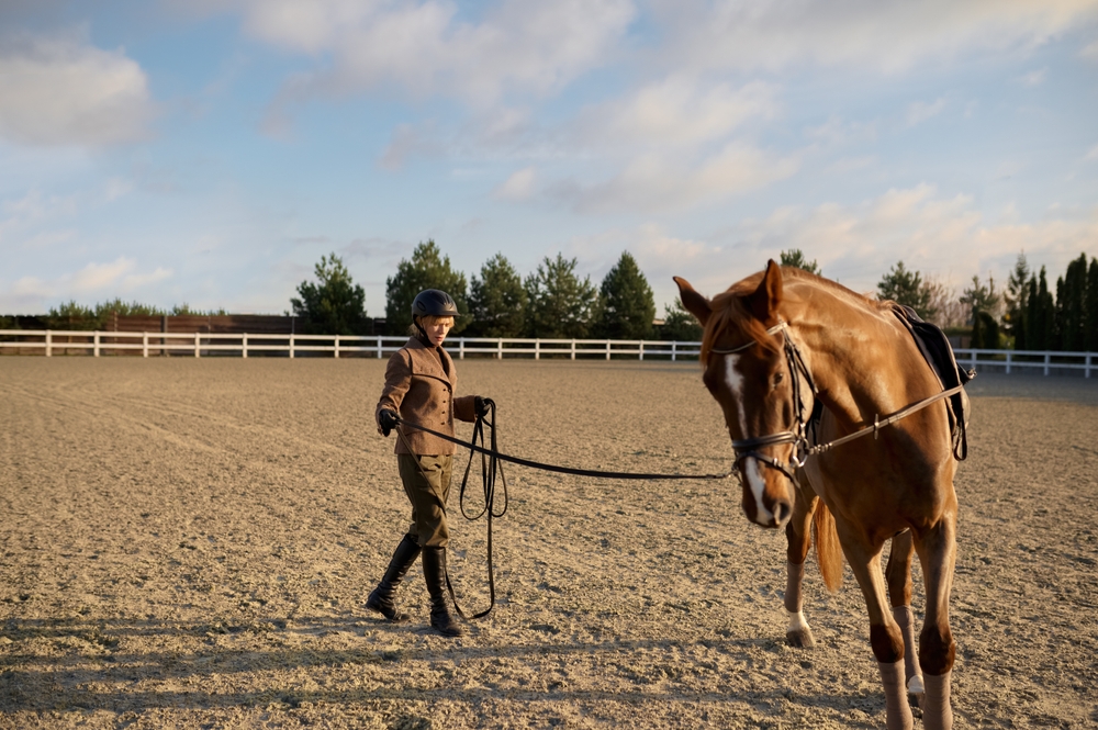 Horse trainer