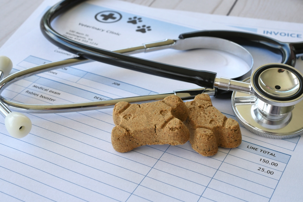 pet insurance