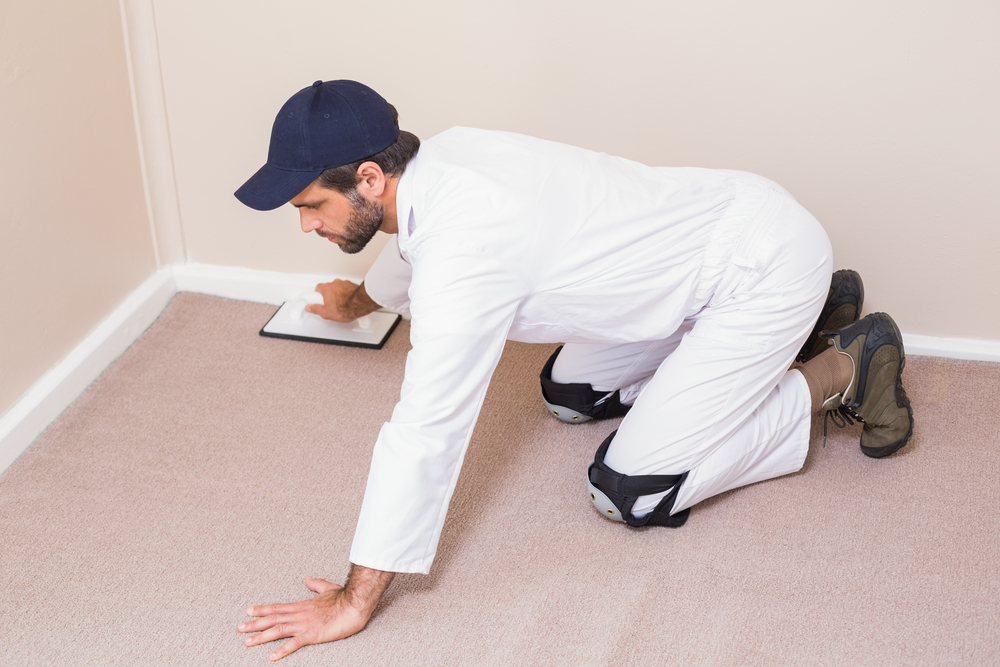 new carpet being laid