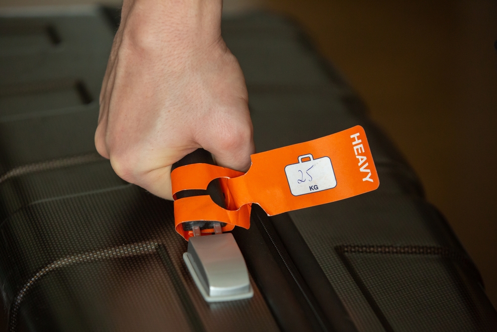 Checked baggage fees