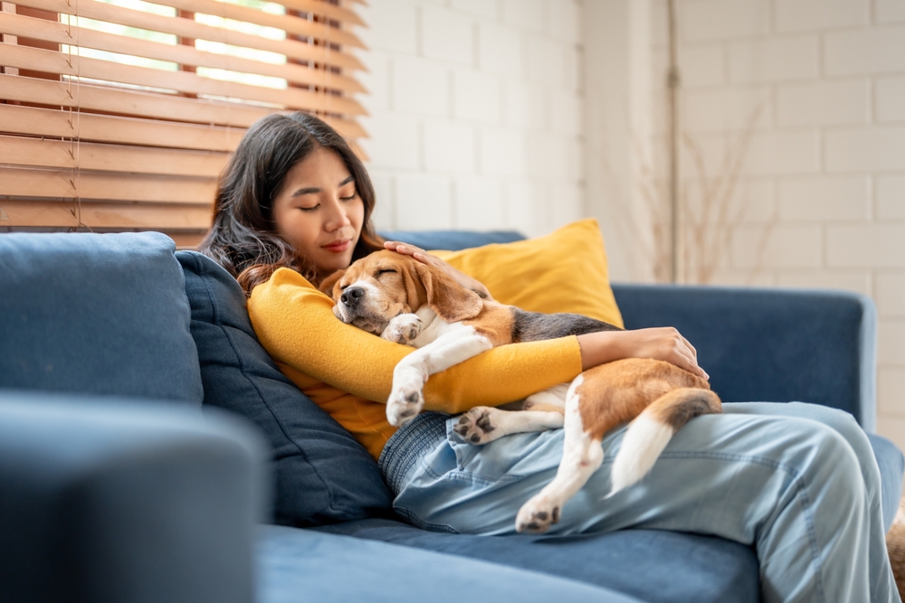 cuddling pet dog