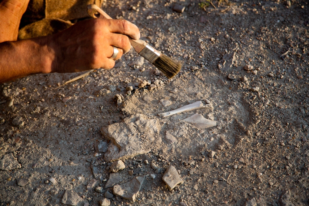 Archaeologist