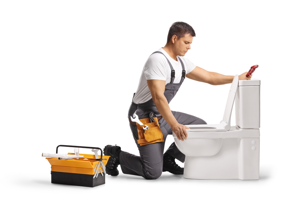 repairing toilet seat