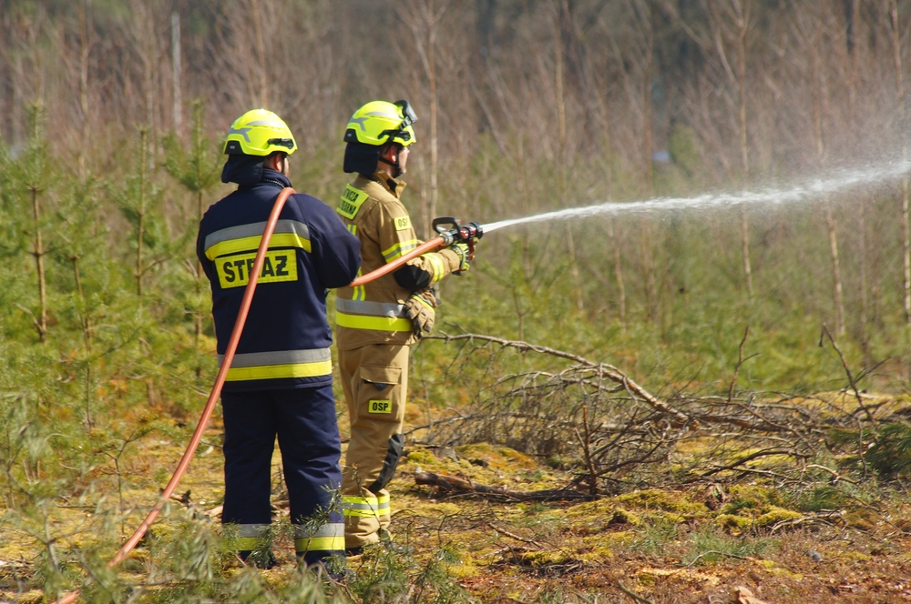 Two firefighters directing a hose into woodland during a forest fire response