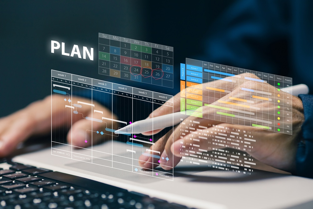 Project controls manager