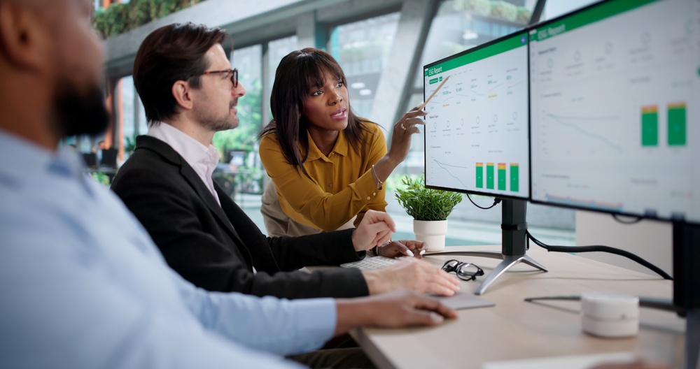 Sustainability analyst