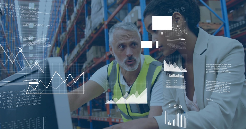 Logistics analyst