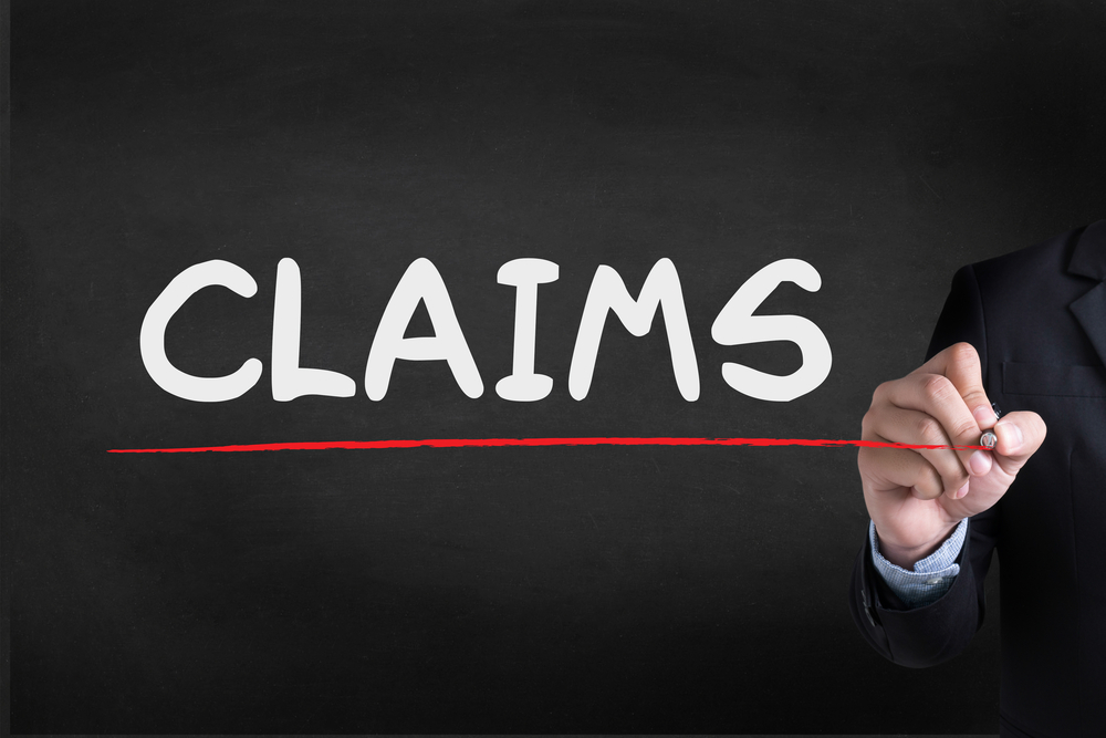 Vice president of claims litigation