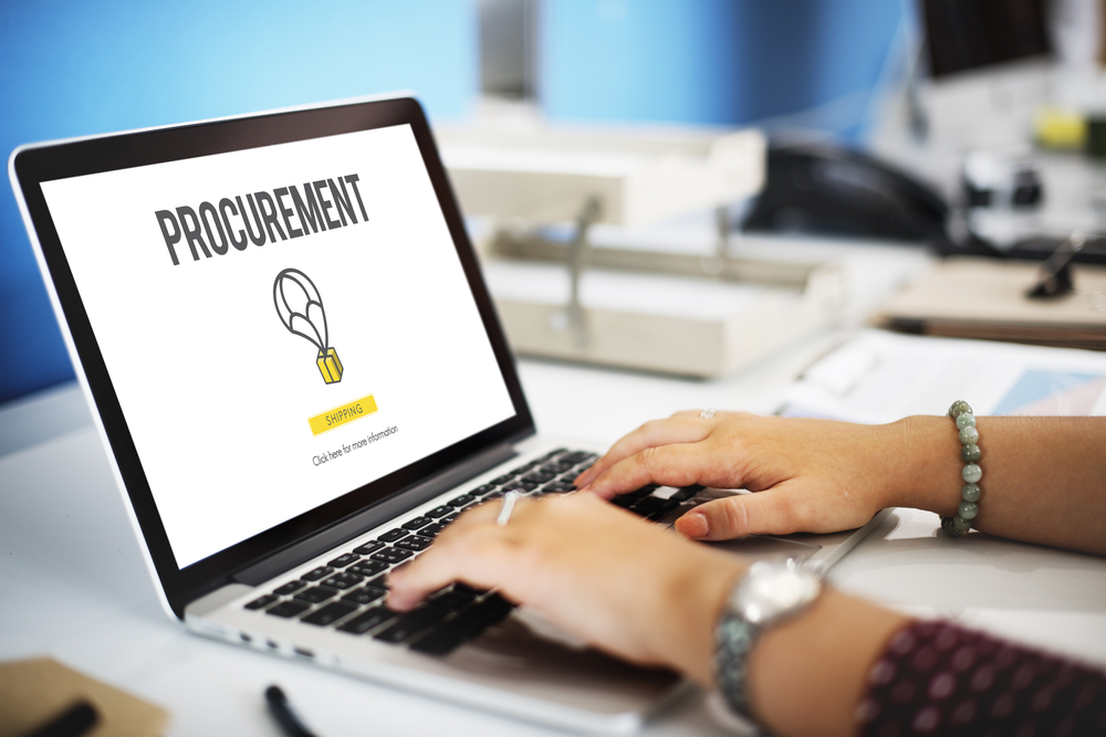 Vice president of procurement